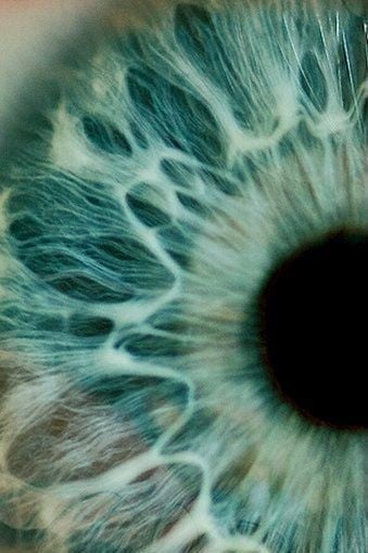 High-detail macro shot of a light blue and teal human eye iris showing intricate fiber textures and the pupil.